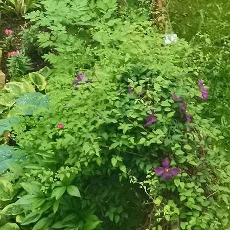 Apartament 4relax - Praktisch Und Bequem, 4 Betten, Zwei