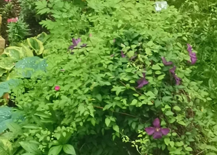 Appartamento 4relax - Praktisch Und Bequem, 4 Betten, Zwei